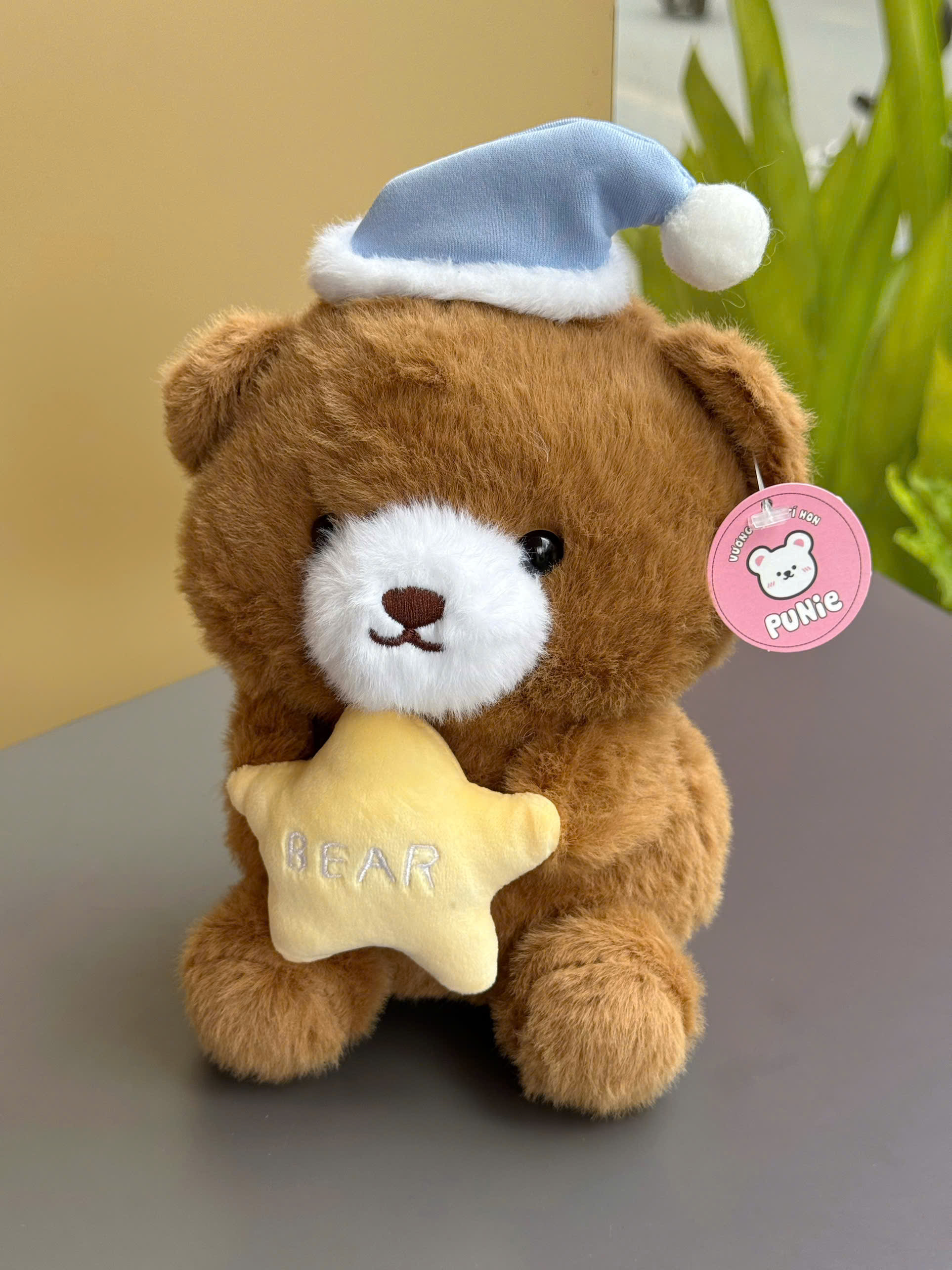 GẤU BÔNG GẤU NÂU ÔM TIM/SAO/MŨ MINI