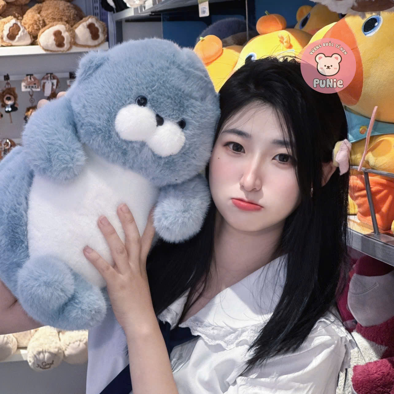 HẢI CẨU XANH BOBOVA