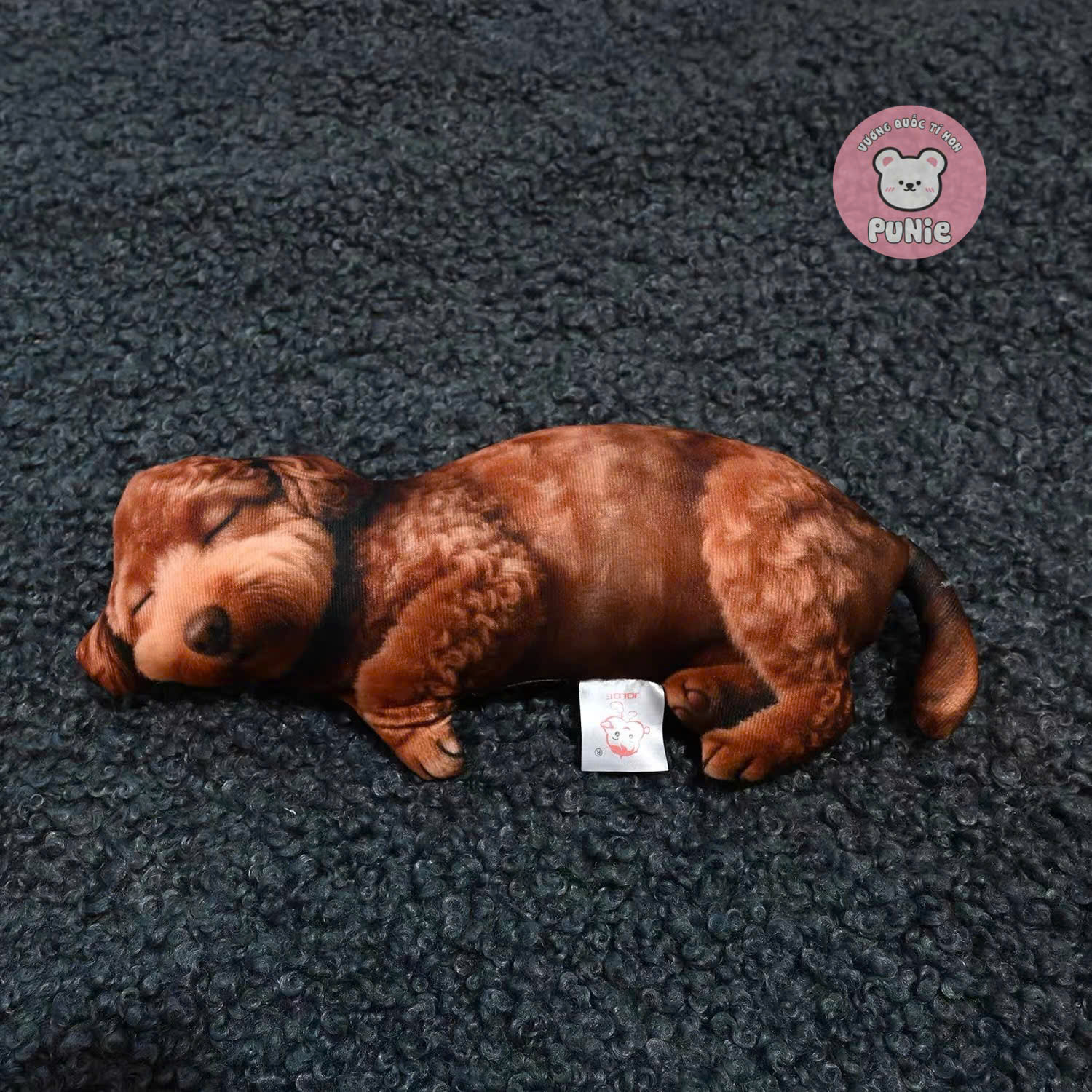 CÚN POODLE 3D 40CM QC