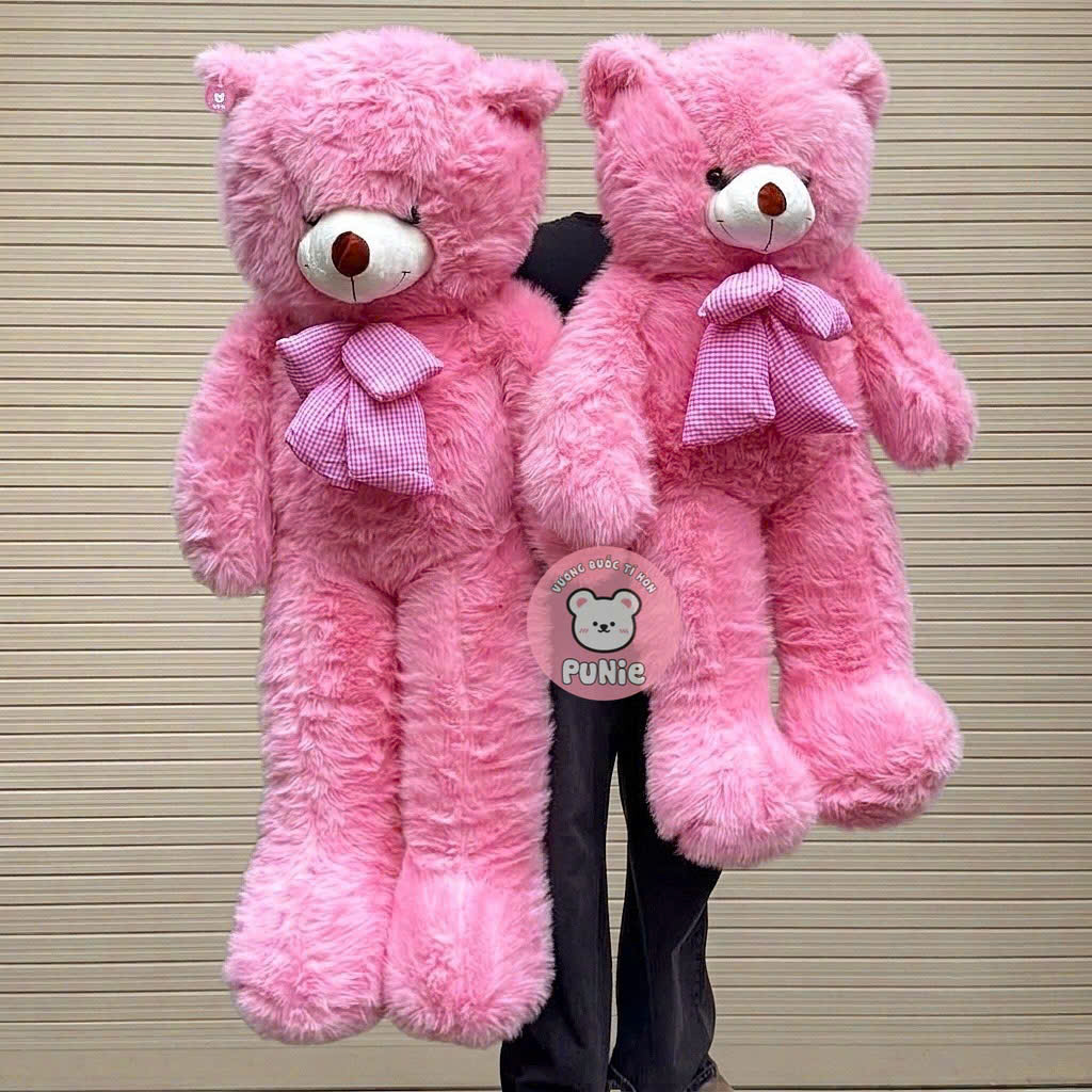 TEDDY LÔNG XÙ HỒNG 1M6