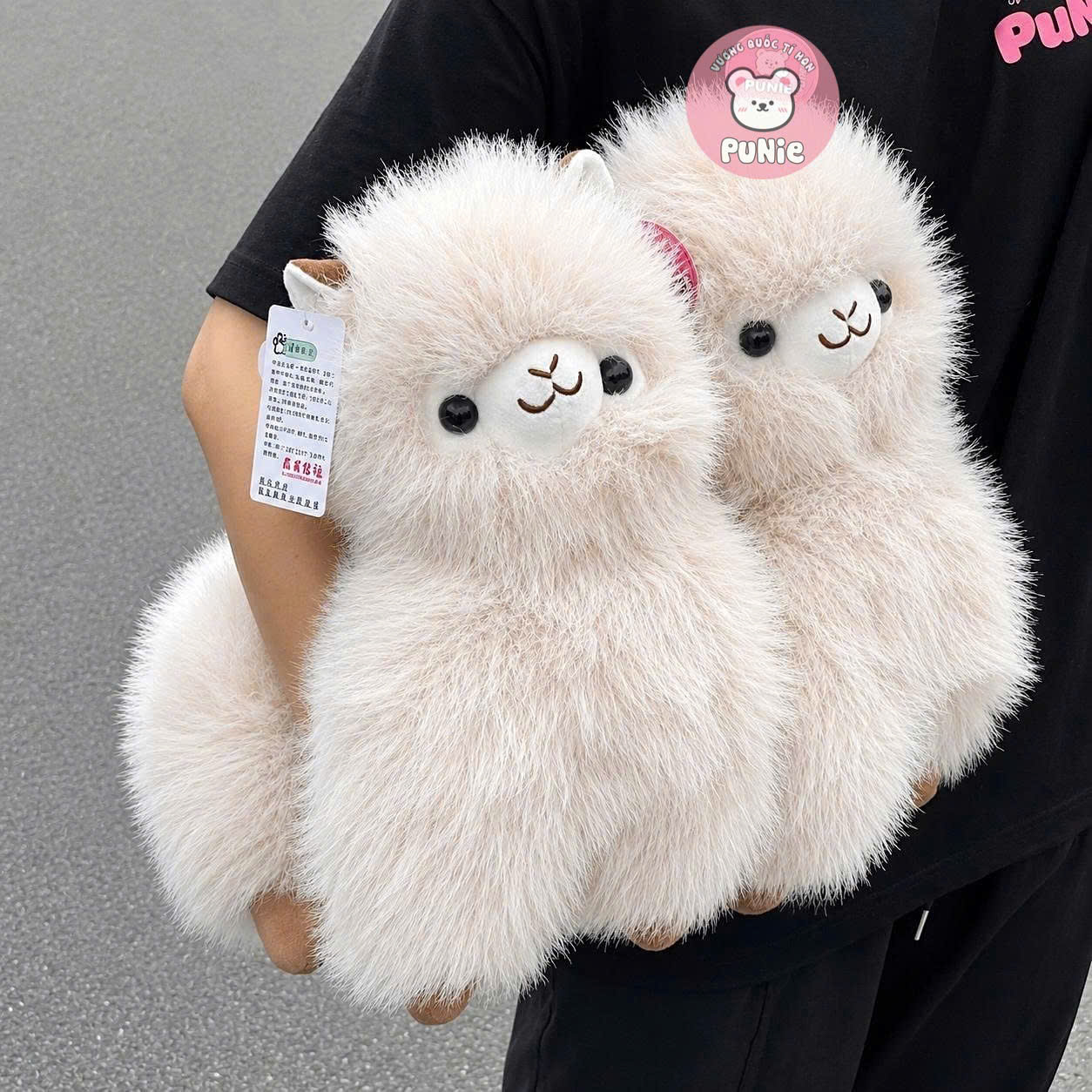 LẠC ĐÀ LÔNG XÙ TRẮNG 35CM QC