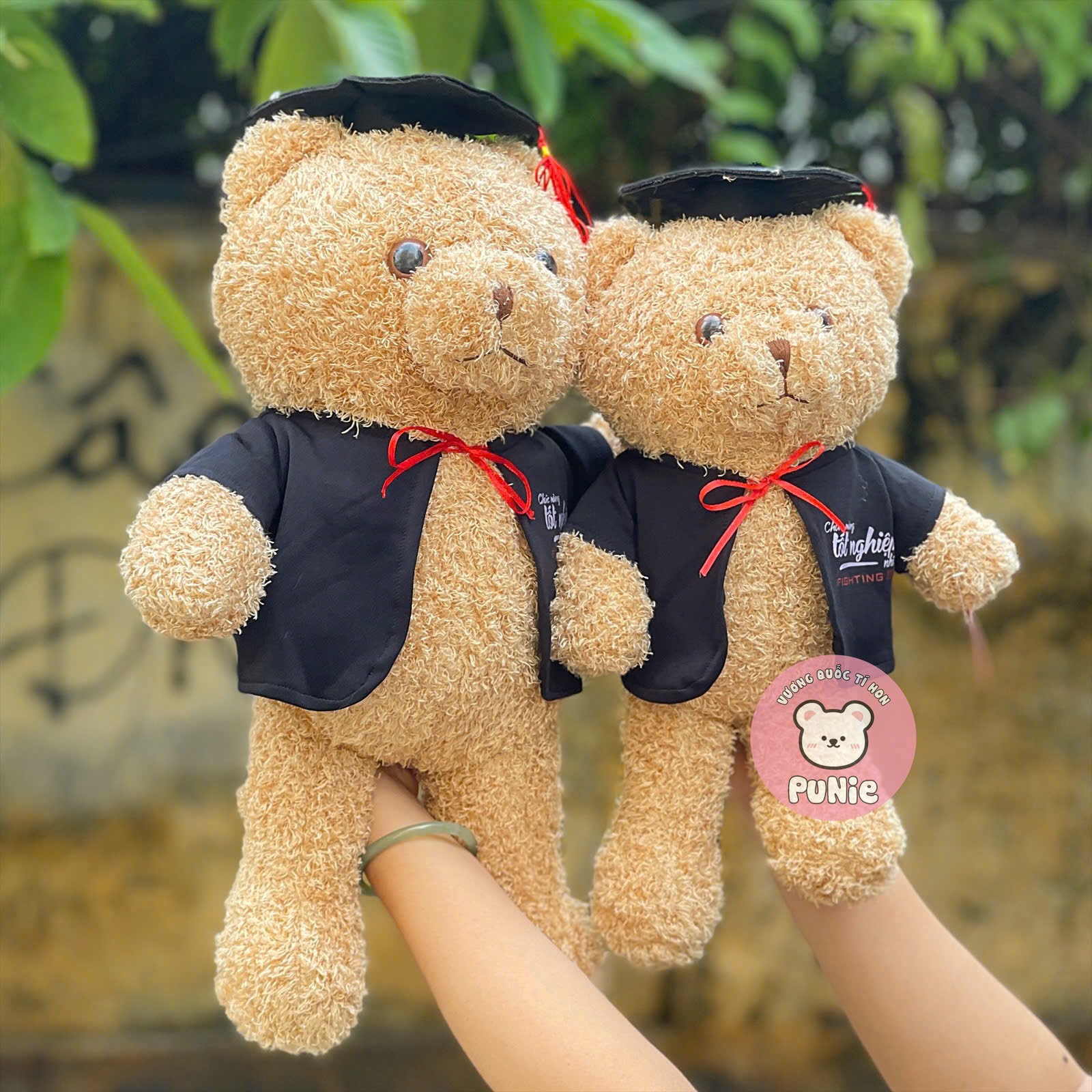 GẤU TỐT NGHIỆP ÁO NGẮN 50CM