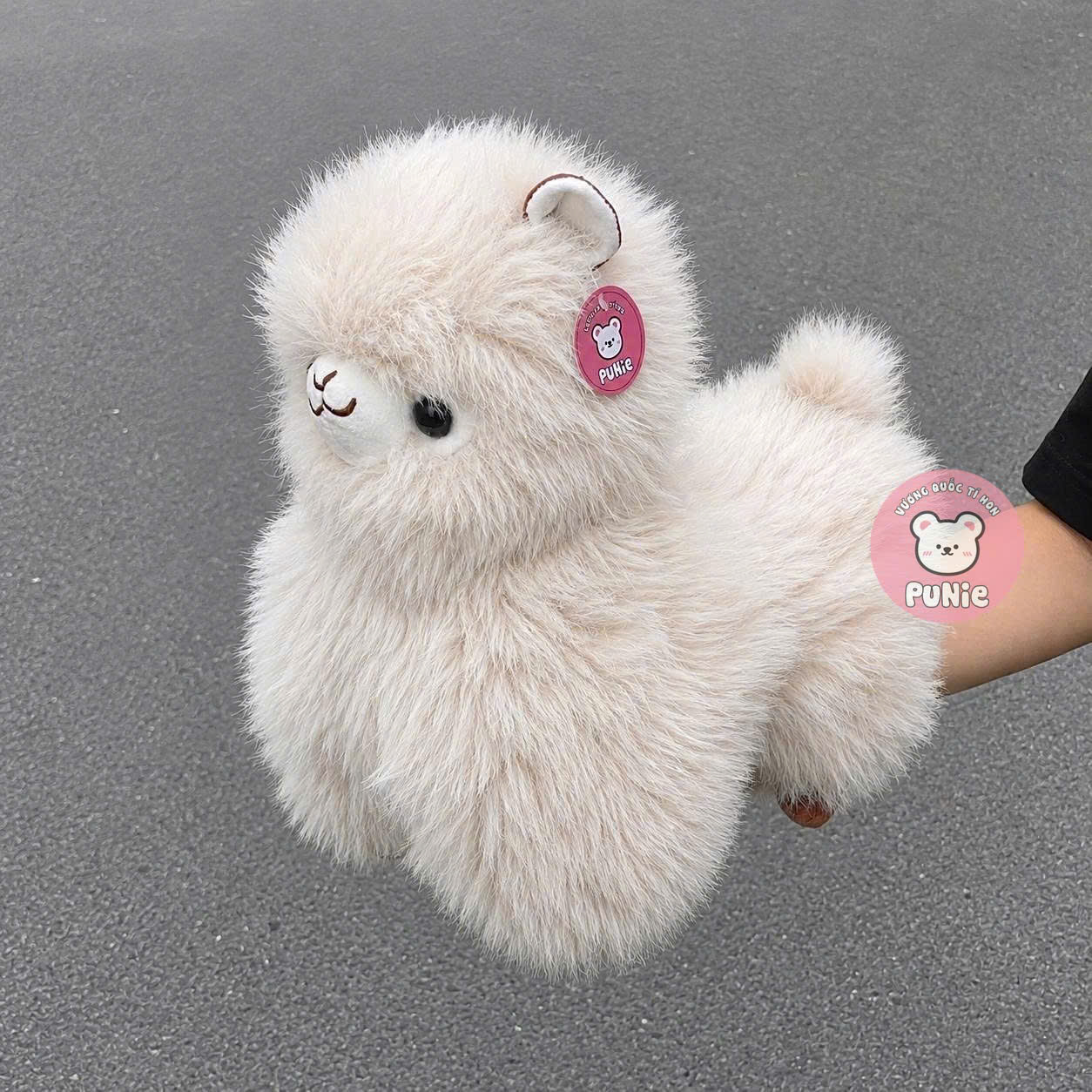 LẠC ĐÀ LÔNG XÙ TRẮNG 35CM QC