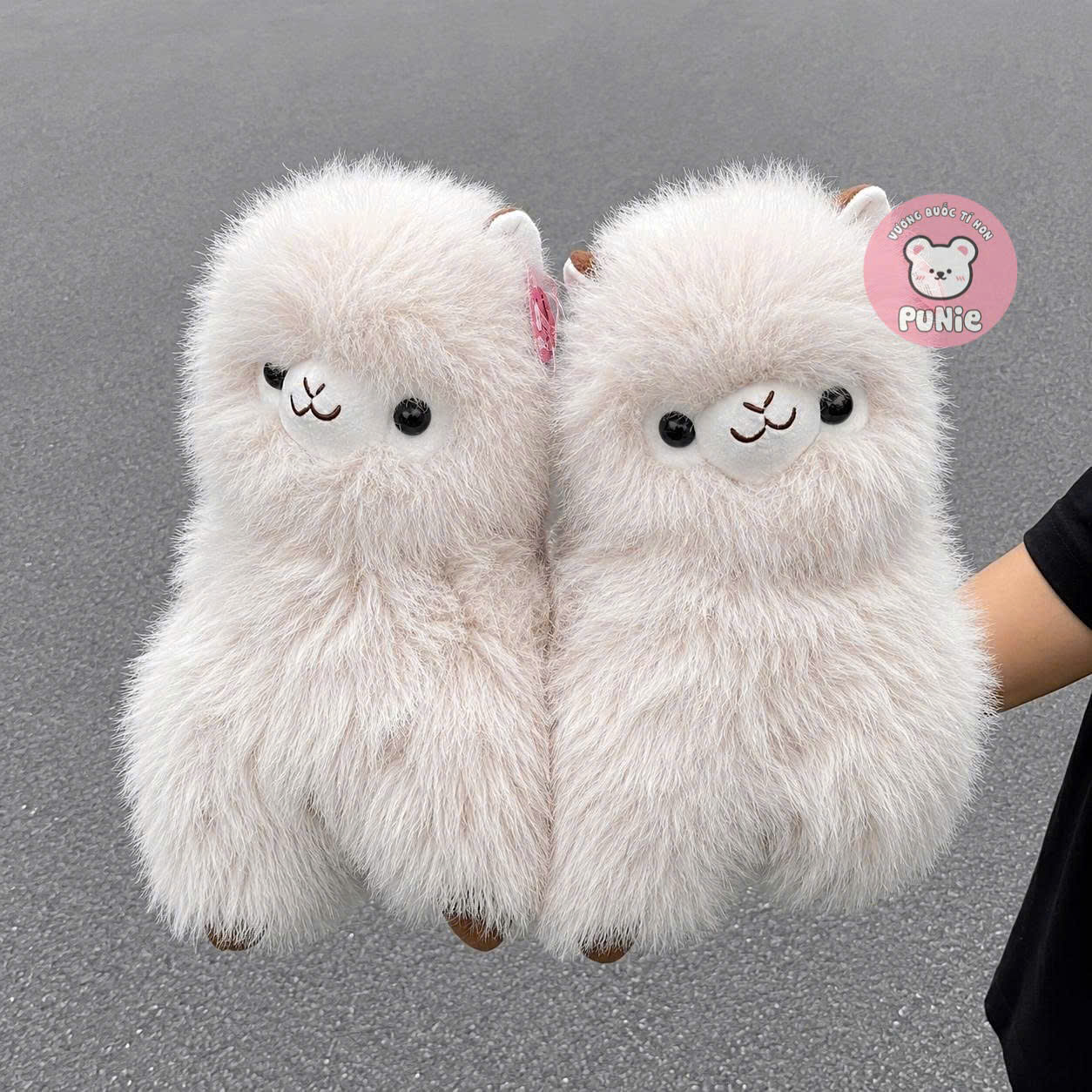 LẠC ĐÀ LÔNG XÙ TRẮNG 35CM QC