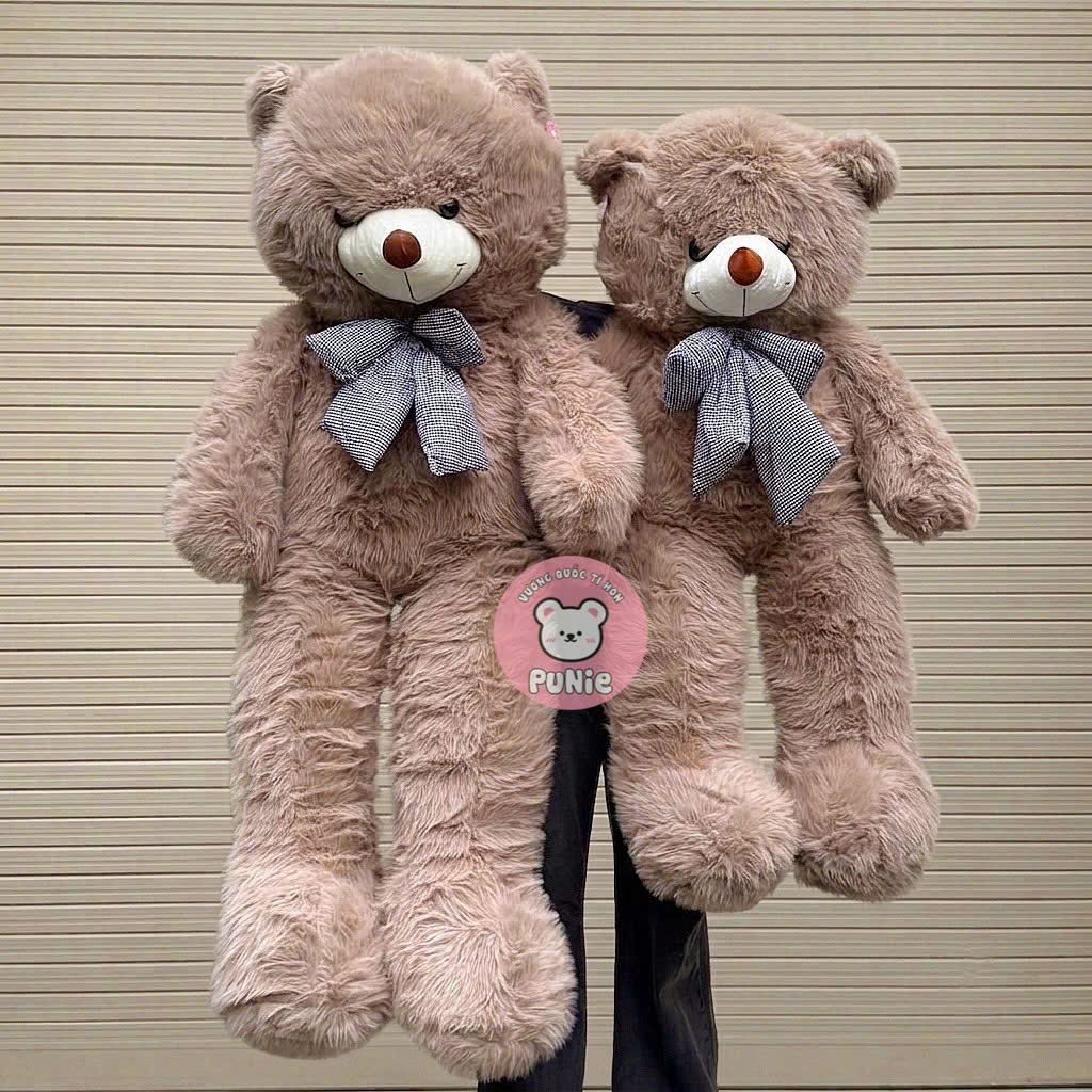 TEDDY LÔNG XÙ NÂU 1M6